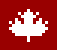 pixel canadian shirt