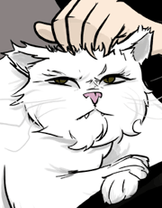lord taco puss, the world's grossest cat